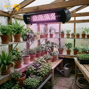 پروژکتور 50 وات رشد گیاه برند پارسانور