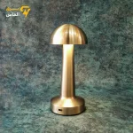 آباژور رومیزی شارژی روشنایی سه حالته (آفتابی-مهتابی-نچرال) / ضمانت بازگشت وجه - تصویر 3