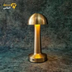 آباژور رومیزی شارژی روشنایی سه حالته (آفتابی-مهتابی-نچرال) / ضمانت بازگشت وجه - تصویر 2